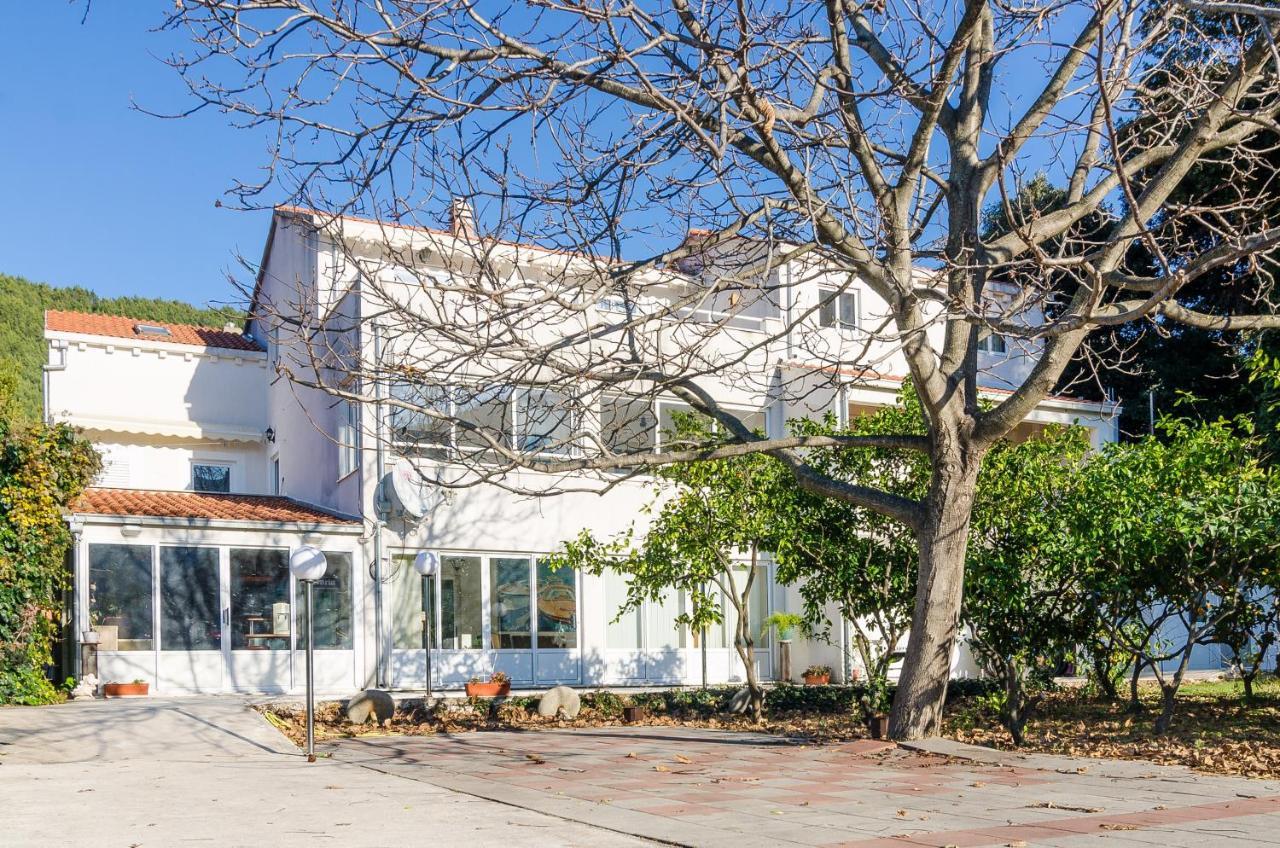 Apartments With A Parking Space Zuljana, Peljesac - 4574 Экстерьер фото